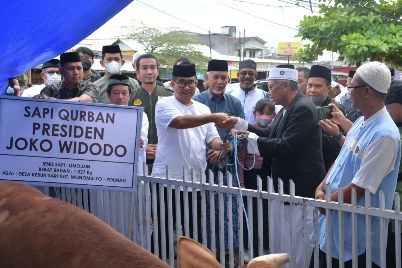 Serahkan Sapi Kurban dari Jokowi, Akmal Berharap Pembagiannya Tepat Sasaran